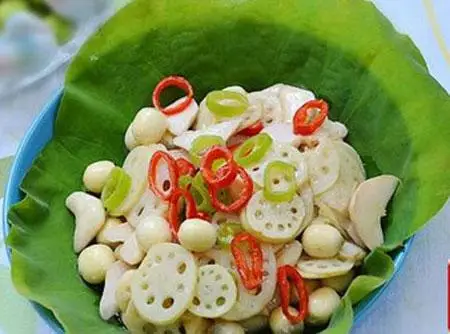 Vietnam Salted Lotus Root/ Root in Brine with Cheap