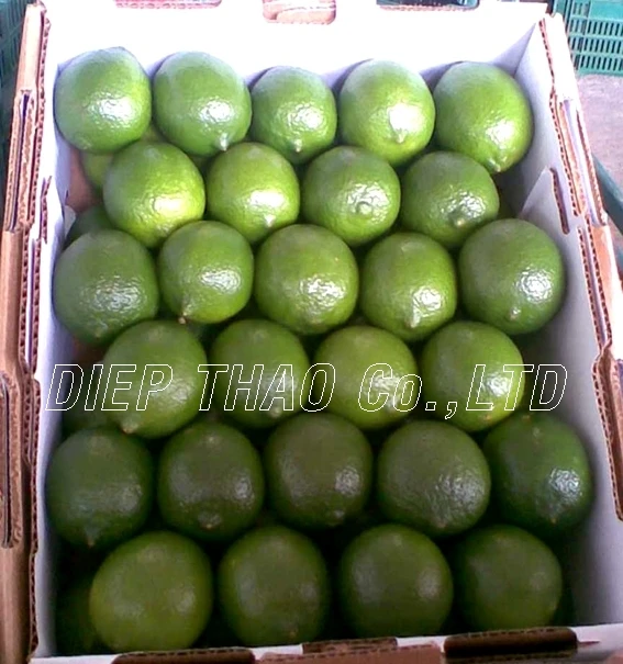 FRESH LIME SEEDLESS/ DRIED LIME SLICES