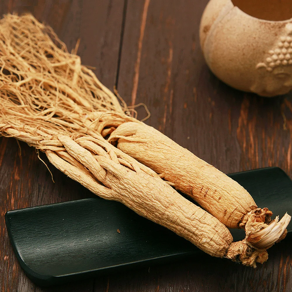 white & Red Ginseng Root for sale