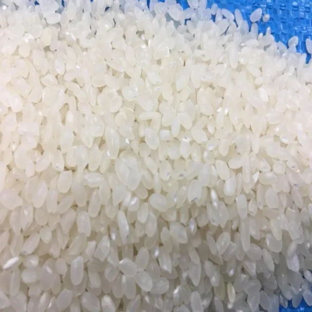 BEST GRADE VIETNAM 5% BROKEN SHORT RICE FROM TOP MARKET QUALITY