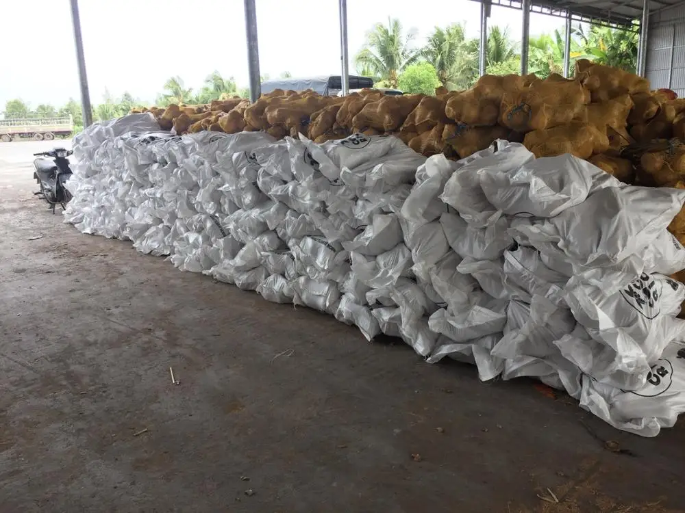 SEMI HUSKED MATURE COCONUT/ COCONUT FULL HUSKED/ FRESH MATURE COCONUT