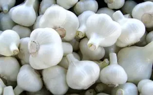VIETNAM fresh garlic