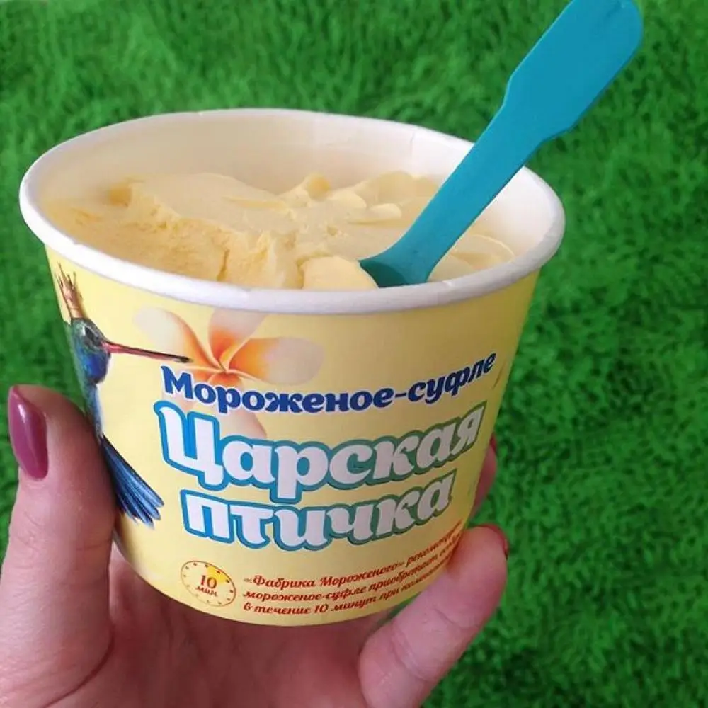 
Vanilla ice cream-souffle in chocolate coating Royal bird 