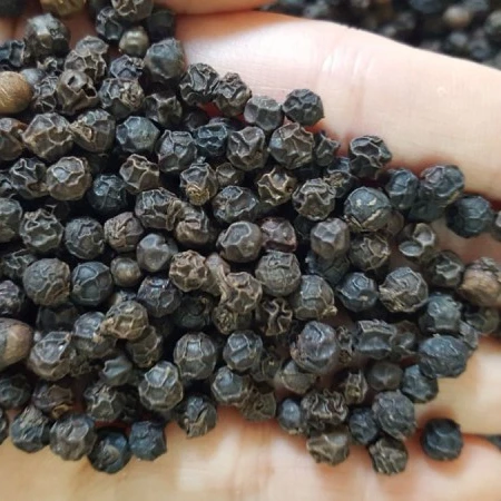 DRIED BLACK PEPPER 550/560/570/580GL ORIGINAL FROM VIETNAM