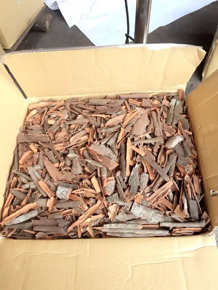 HIGH QUALITY CASSIA / CINNAMON from Vietnam +84984418844 whatsapp