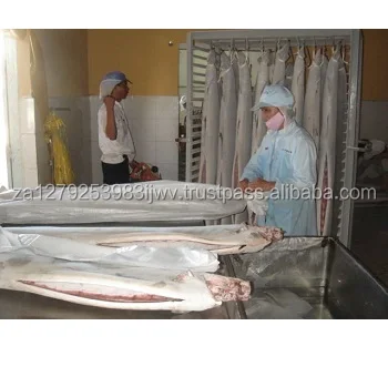 
seafood of sailfish, frozen sailfish,High Quality Frozen Indo-Pacific Sailfish 