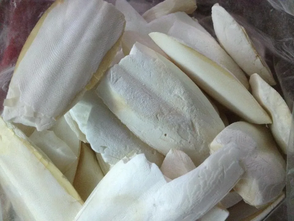 Кости для морской слепки кости корма птиц кальция вьетнамский поставщик низкая цена мисс Мэй (+ 84 904 183 651)