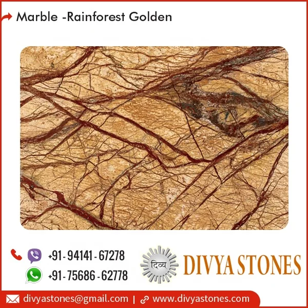 
Seamless Finishing Elegant Patterns Rainforest Golden Marble Slab from India 