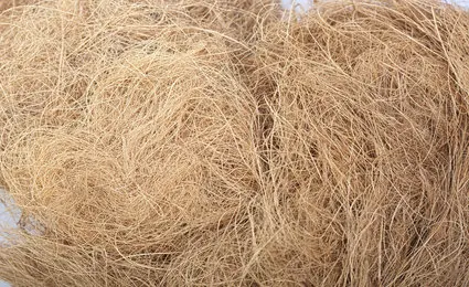 COCONUT COIR FIBER/ COCONUT SHELL/ COCONUT HUSK WITH CHEAP PRICE