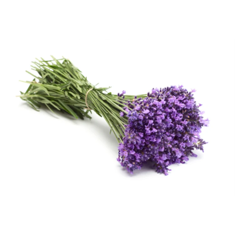 
Оптовая продажа, низкая цена, уход за лицом и телом, эфирное масло лаванды для взрослых 