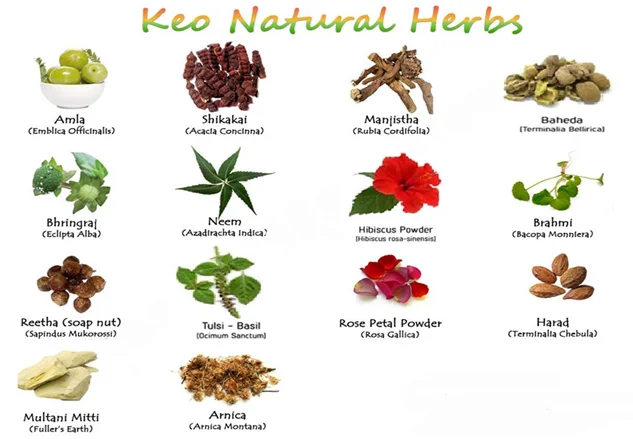 paste-pic-dp_uuid_tf2nh