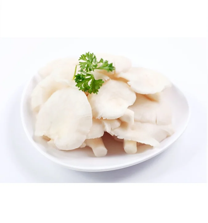 WHOLESALE DRIED OYSTER MUSHROOM IN BULK in 2020