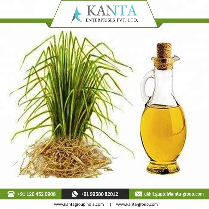 2024 Best Price Private Labeling India Supplier Vetiver Essential Oil at Cheap Rates Available