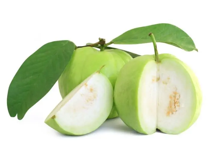 spray dried instant fruit powder Guava powder for sale from India