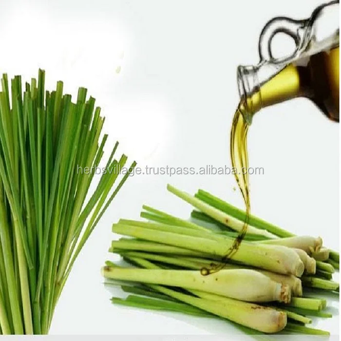 100% pure and natural lemongrass essential oil in bulk private label aromatherapy massage diffusers spa fragrances