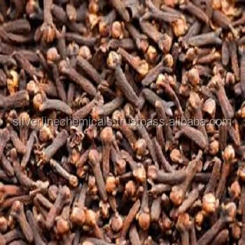 CLOVE BUD OLEORESIN 25%