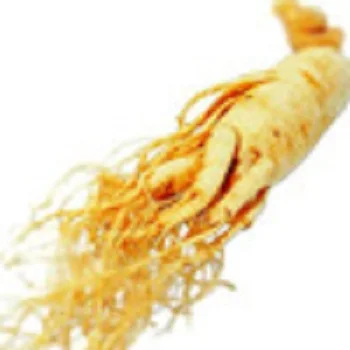 High-quality Ginseng Root Extract