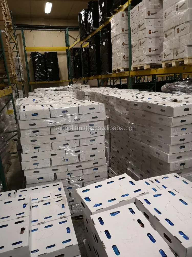 Hot Sale Bulk B grade Frozen Large Chicken Wings