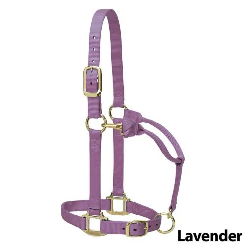 Lavender ESE Original Adj Horse India Kanpur Halter