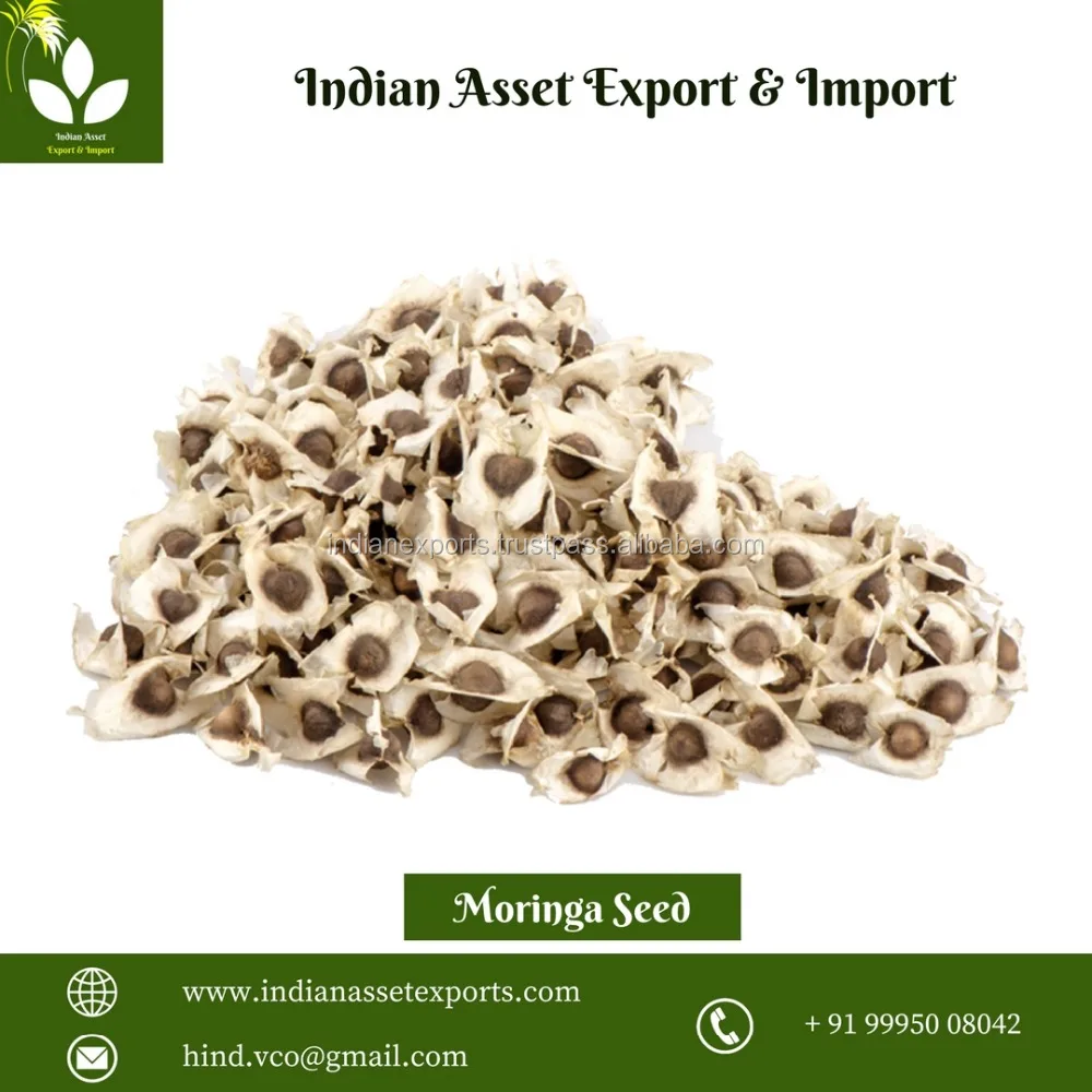 
Best quality Organic Certified Moringa Seeds for cultivation and Large Scale Plantation 