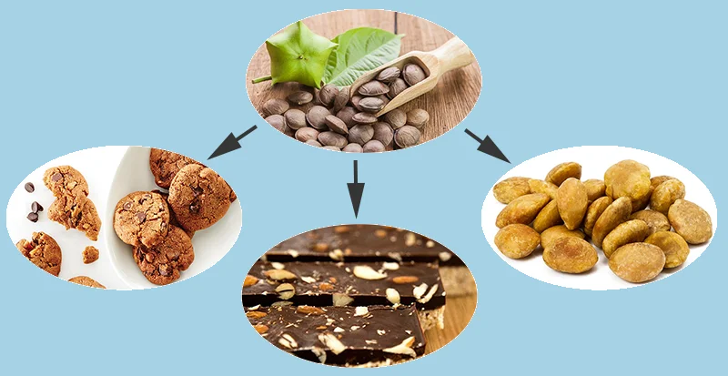 BEST QUALITY CHEAP PRICE SACHA INCHI GROWN IN VIETNAM