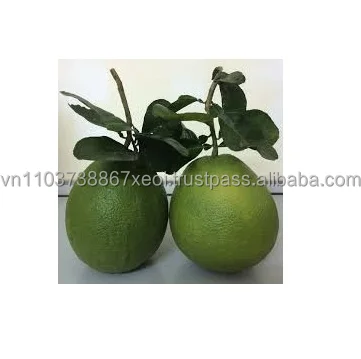 Good quality best price Vietnamese pomelo/grapefruit in 2021