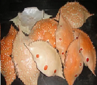 
Dried crab shell for animal feed 