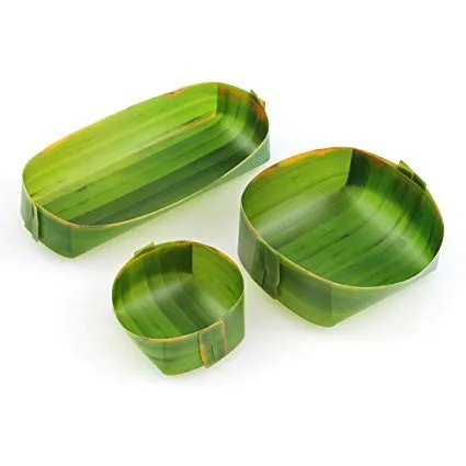 fresh Dong high quality and cheapest 2020