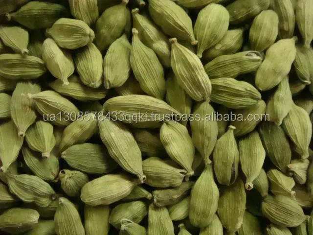 GREEN CARDAMOM / CARDAMOM/GREEN CARDAMOM SIZE