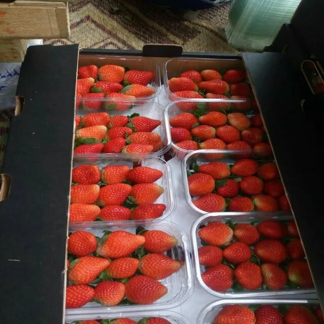 
Fresh Strawberries  (50045053246)