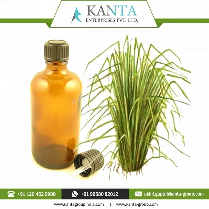 2024 Best Price Private Labeling India Supplier Vetiver Essential Oil at Cheap Rates Available