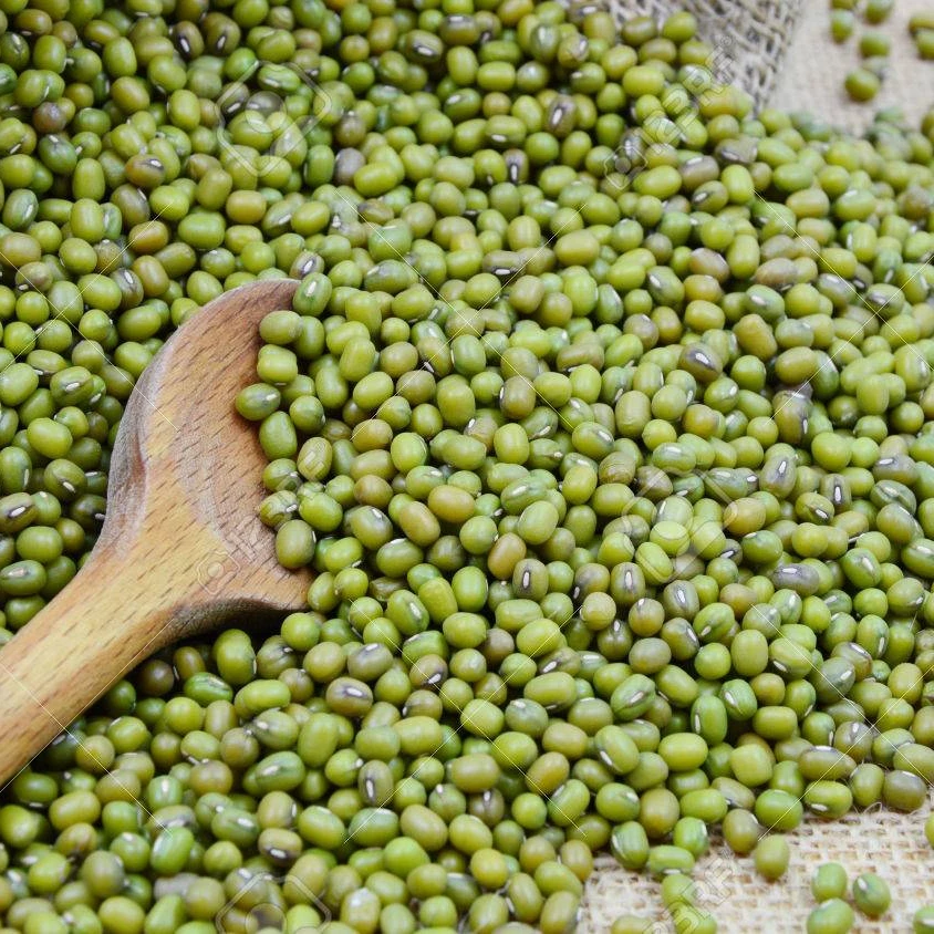 2021 New Crop Green Mung Beans