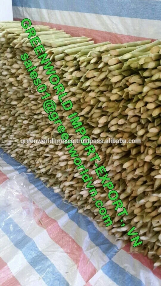 Frozen sugarcane with amazing taste from Vietnam with competitive price