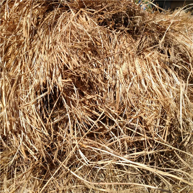 JK grade abaca fiber pure hemp fiber used for plastic industry