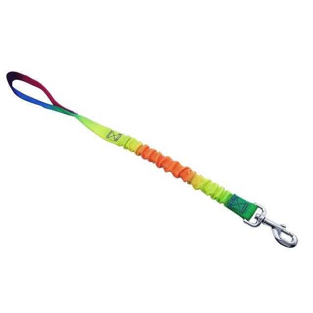 
Newest Taiwan Pet Product Training Outdoor Multi-function Dog Running Elastic Leash 