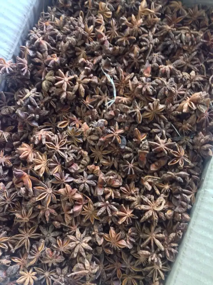 STRONG FLAVOR SPICY STAR ANISE cheap price Spices high quality Viet Nam origin