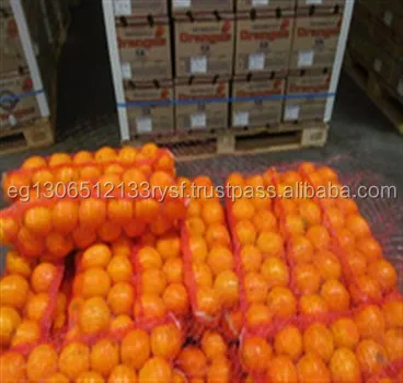 
fresh high quality orange for sale 