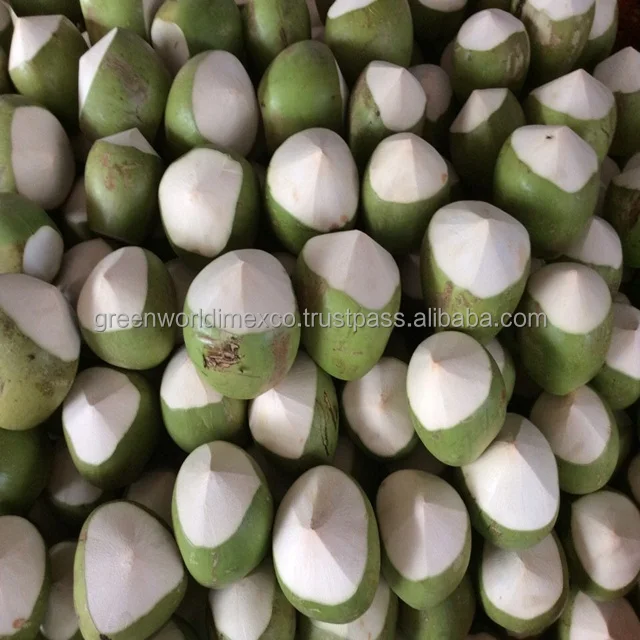 High Quality Young Coconut Vietnam Fresh Tropical COCONUT Sweet Young Fruit Water Drinking Whole Premium Quality Good Price