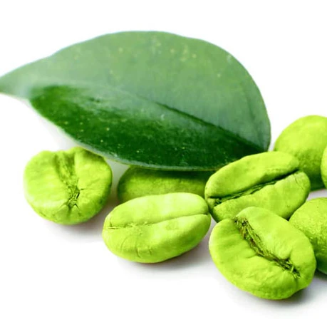 Экстракт зеленого кофе/зеленого кофе в зернах для здоровья WHATSAPP + 0084 845639639