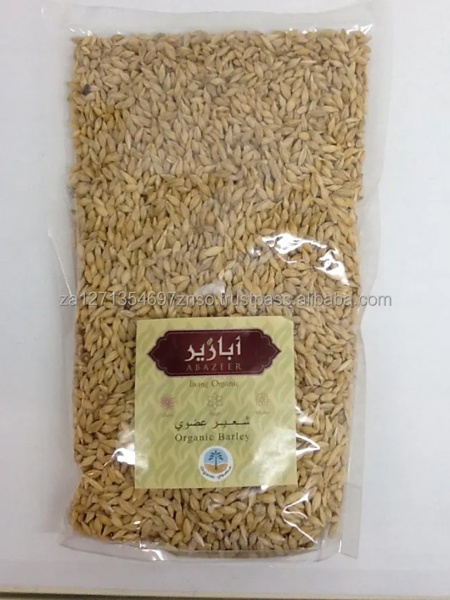 Wholesale Good Quality At Factory Price Barley Animal Feed Barley Seeds