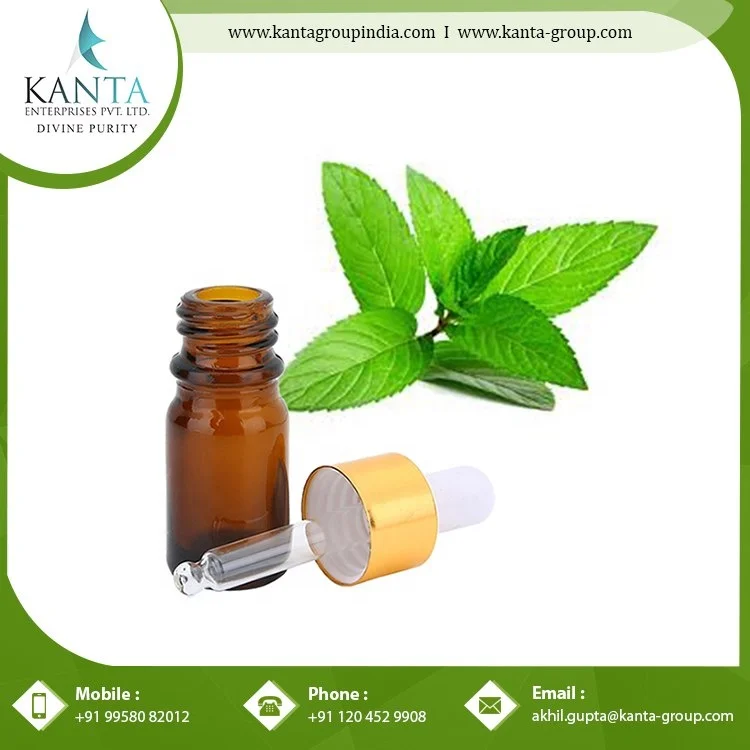 Bulk Supply  Peppermint Essential Oil Used for Pain Relief and skin Care Available at Low Price from Indian Exporter