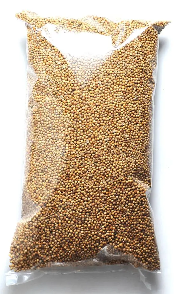 
Best price for fresh and high quality for coriander seeds 
