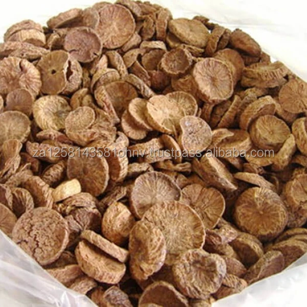 Dried Betel Nut High Quality Big size