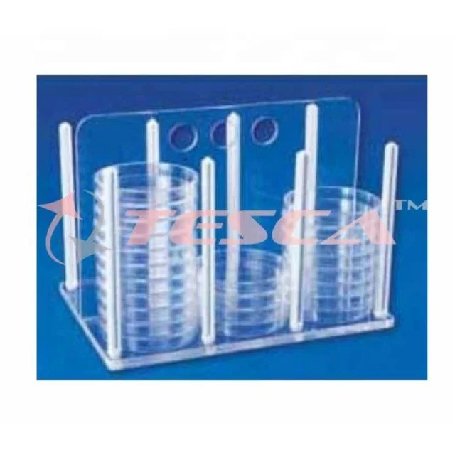 Rack for Petri Dish