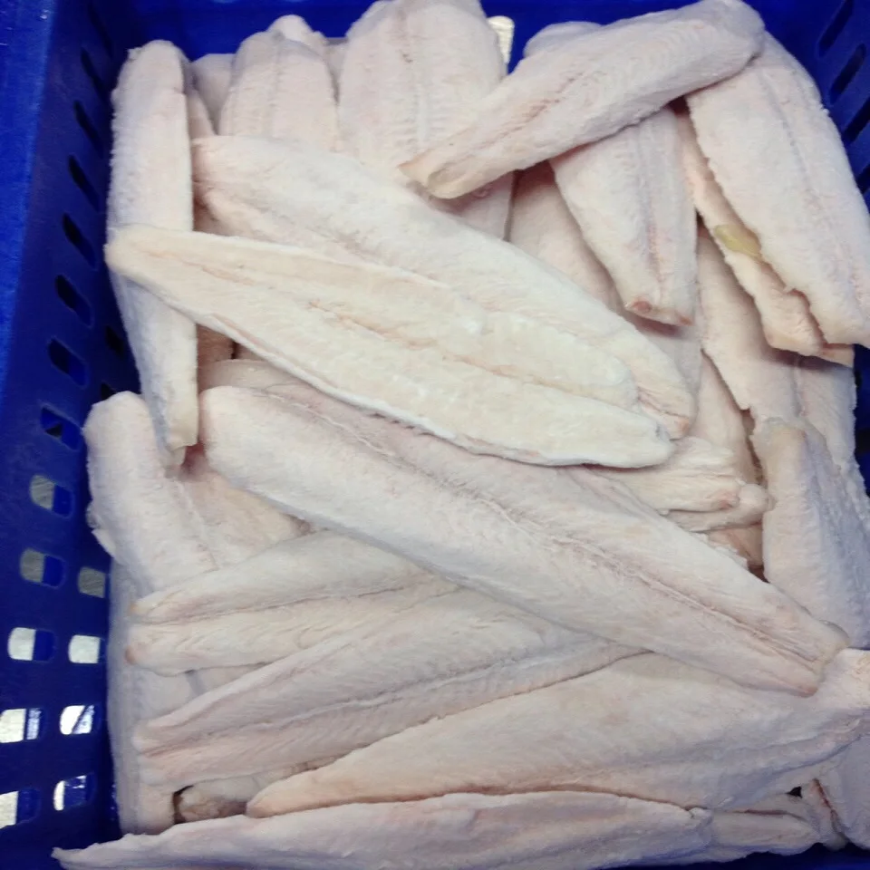 
PANGASIUS FISH - BEST QUALITY 