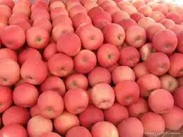 
Fresh Cheap Price Fuji Apples 
