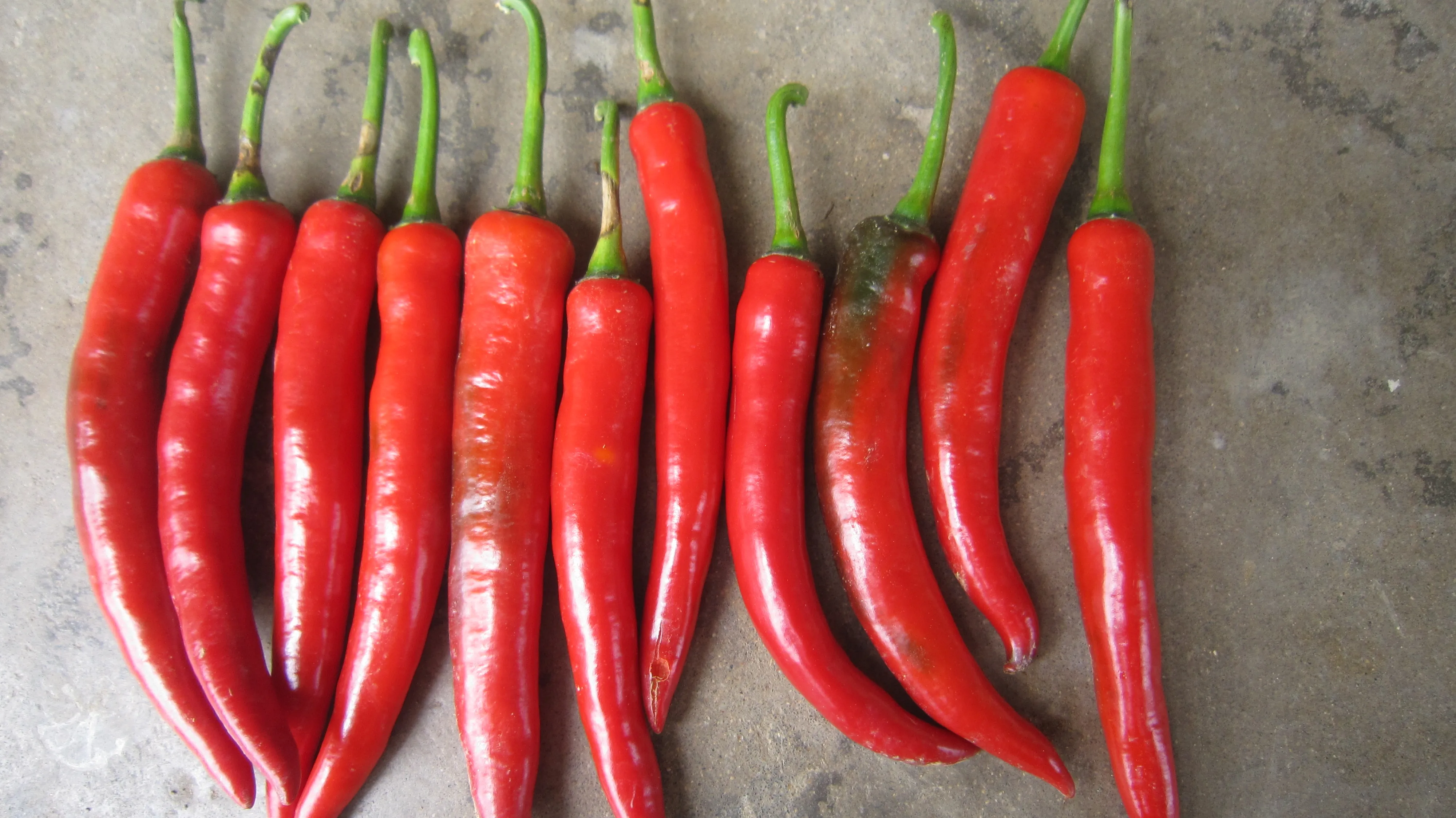 WHOLE SALE CHILI FROZEN/ HOT RED CHILI+84-845-639-639 (Whatsapp)
