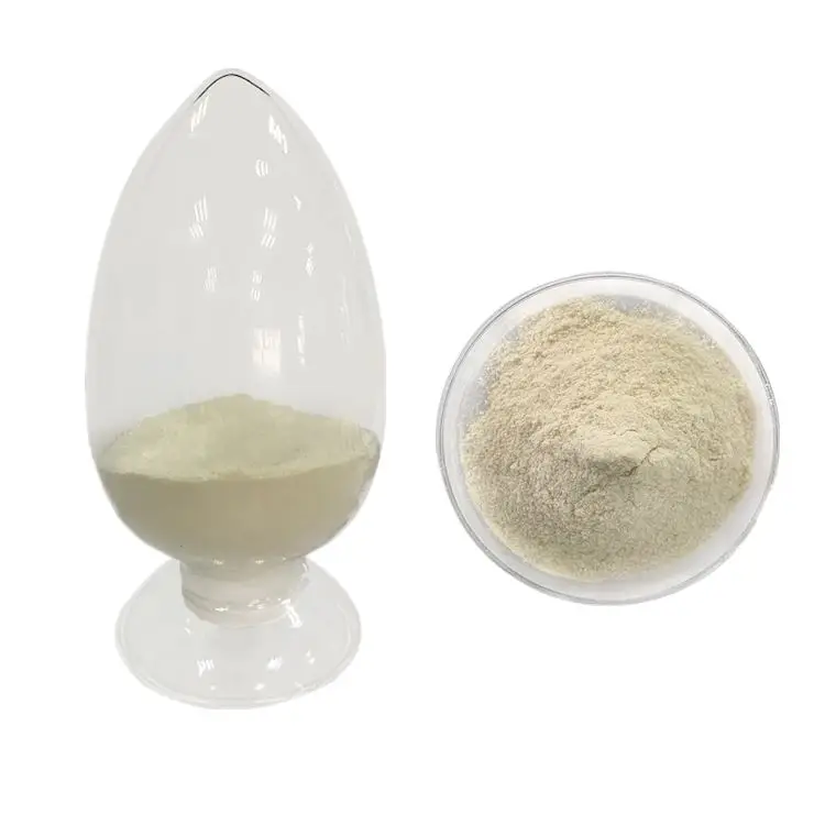 Probiotics bulk Price names probiotics lactos Lactococcus Lactis probiotics powder