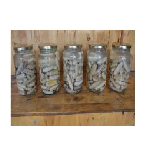 
Amazing price termite queen with wine whatsapp +84 845 639 639 