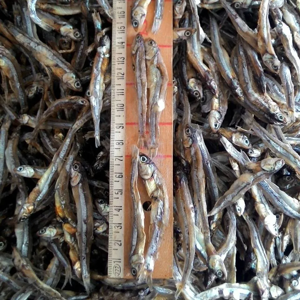 Хорошая цена сушеный анчоусы | Сушеная Рыба морепродукты вяленая ЕС